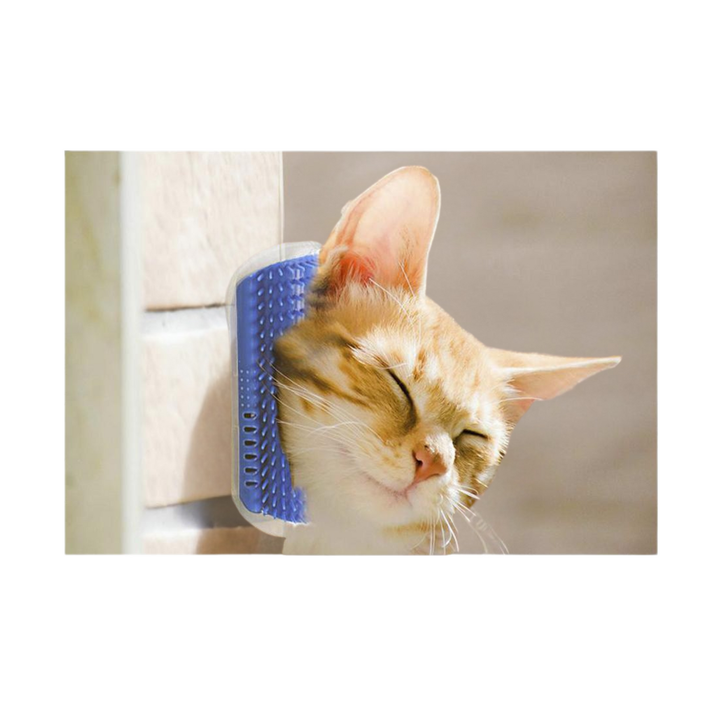 RASCADOR ESQUINERO PARA GATOS