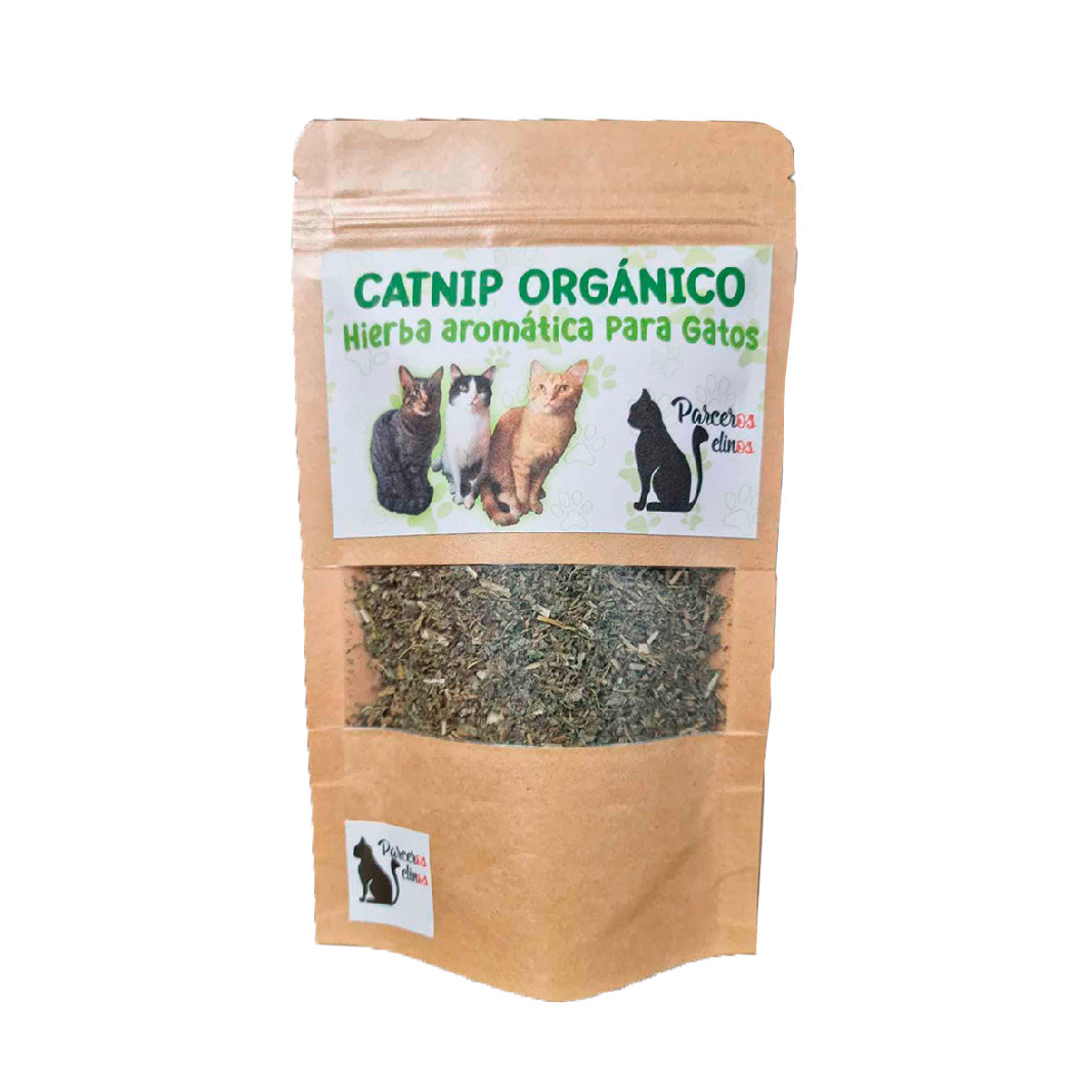 CATNIP ORGÁNICO PARCEROS FELINOS