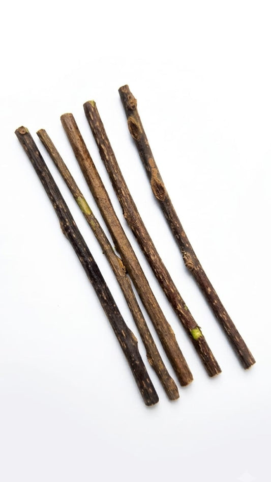 PALITOS DE MENTA GATUNA MATATABI