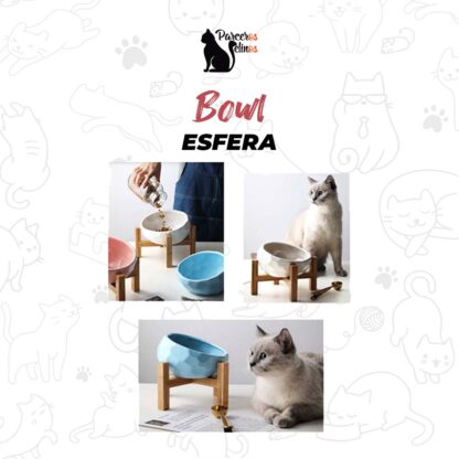 Bowl Esfera