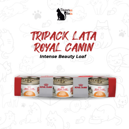 Tripack lata Royal Canin Intense Beauty Loaf