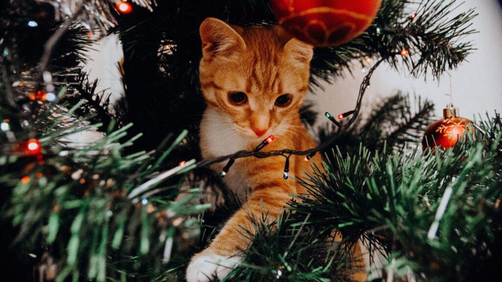 ¿Cómo evitar que los gatos ataquen el árbol de navidad?