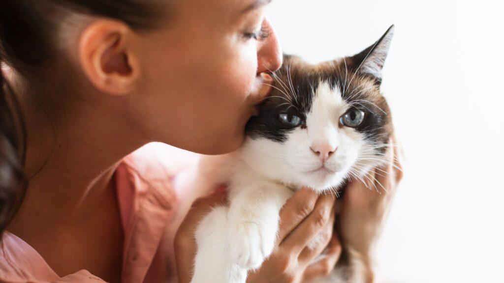 ¿Cómo puedes mejorar la comunicación con tu gato?