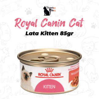 Royal Canin Cat Lata Kitten