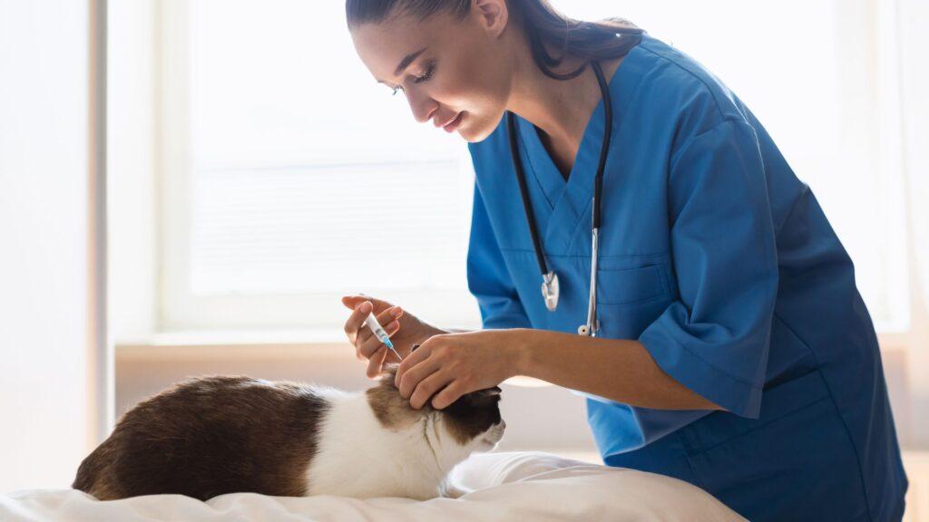 Desarrollan vacuna contra alergia a los gatos