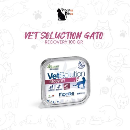 VET SOLUTION GATO RECOVERY 100GR