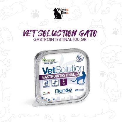 VET SOLUTION GASTROINTESTINAL 100GR
