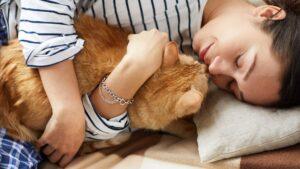 6 Beneficios terapéuticos de la compañía de un gato para la salud mental