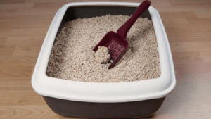 Consejos útiles para mantener una bandeja de arena limpia